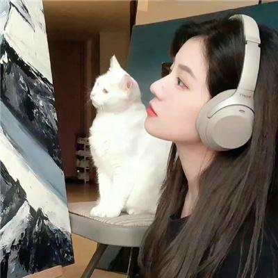 痞子高手